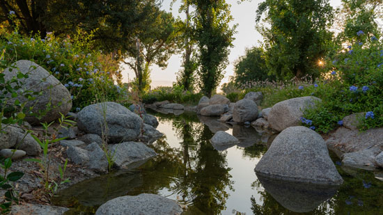 Small pond surrounded by rocks and trees