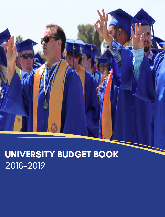 University Budget Book 2018-19