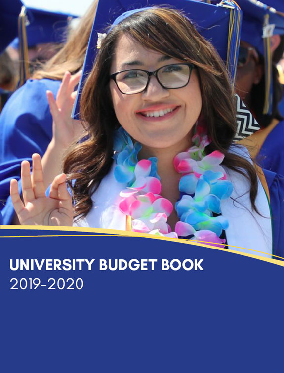 University Budget Book 2019-20