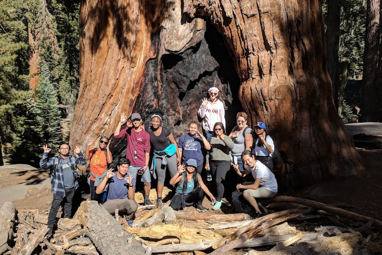 CSUB students pose in front of Giant Sequoia tree