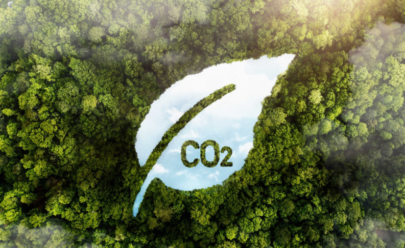 Carbon Storage