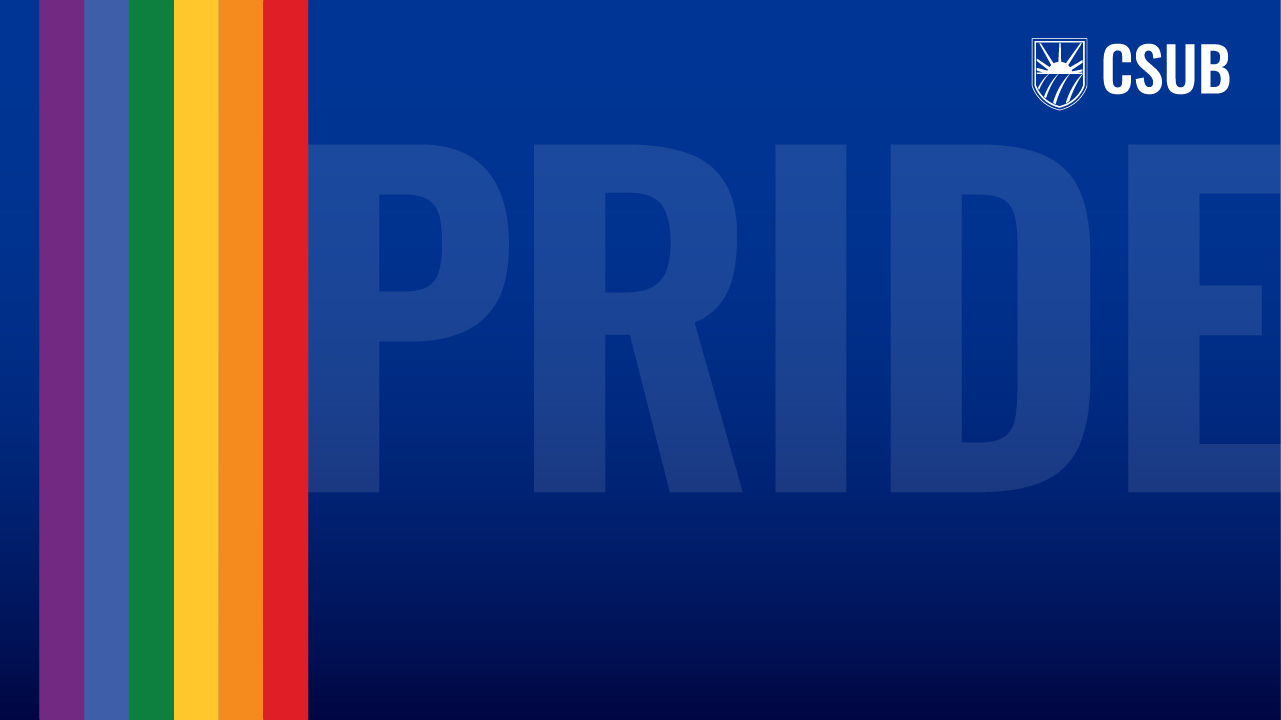 PRIDE Background 2