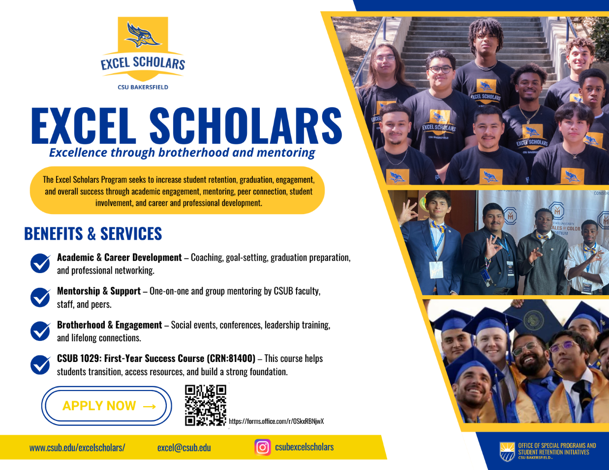 Excel flyer for 2025