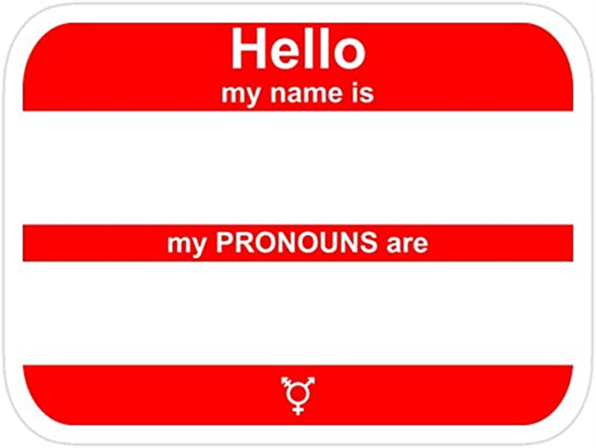 Names and Pronouns tag