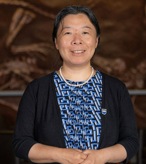 Dr. Jane Dong Dean of the School of NSME