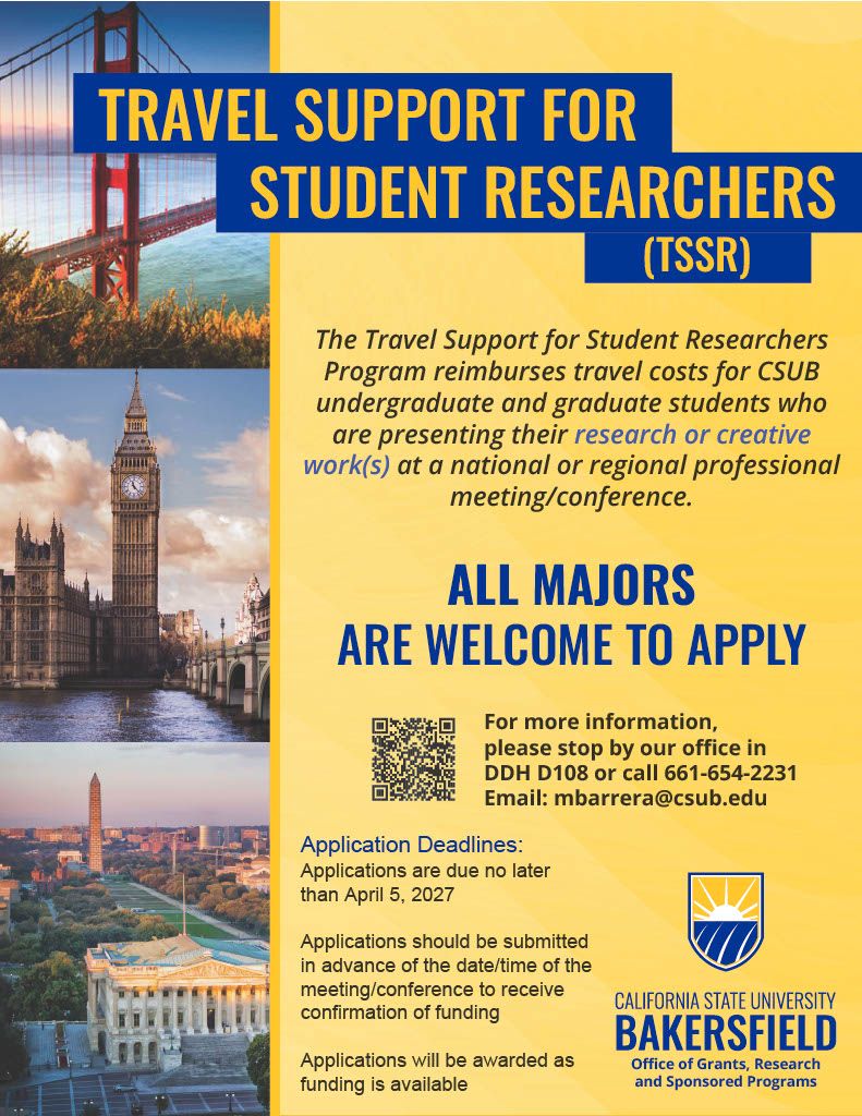 Travel Research Flyer