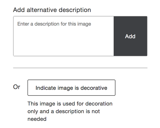 Example text field for adding an alternative description in Ally