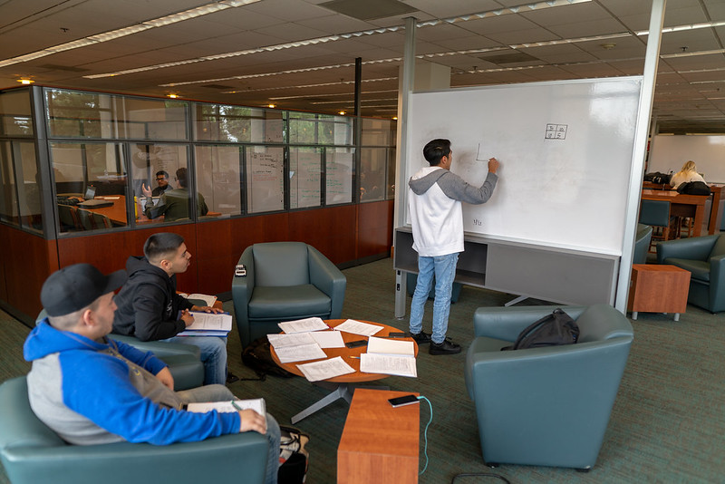 Students studying in the library