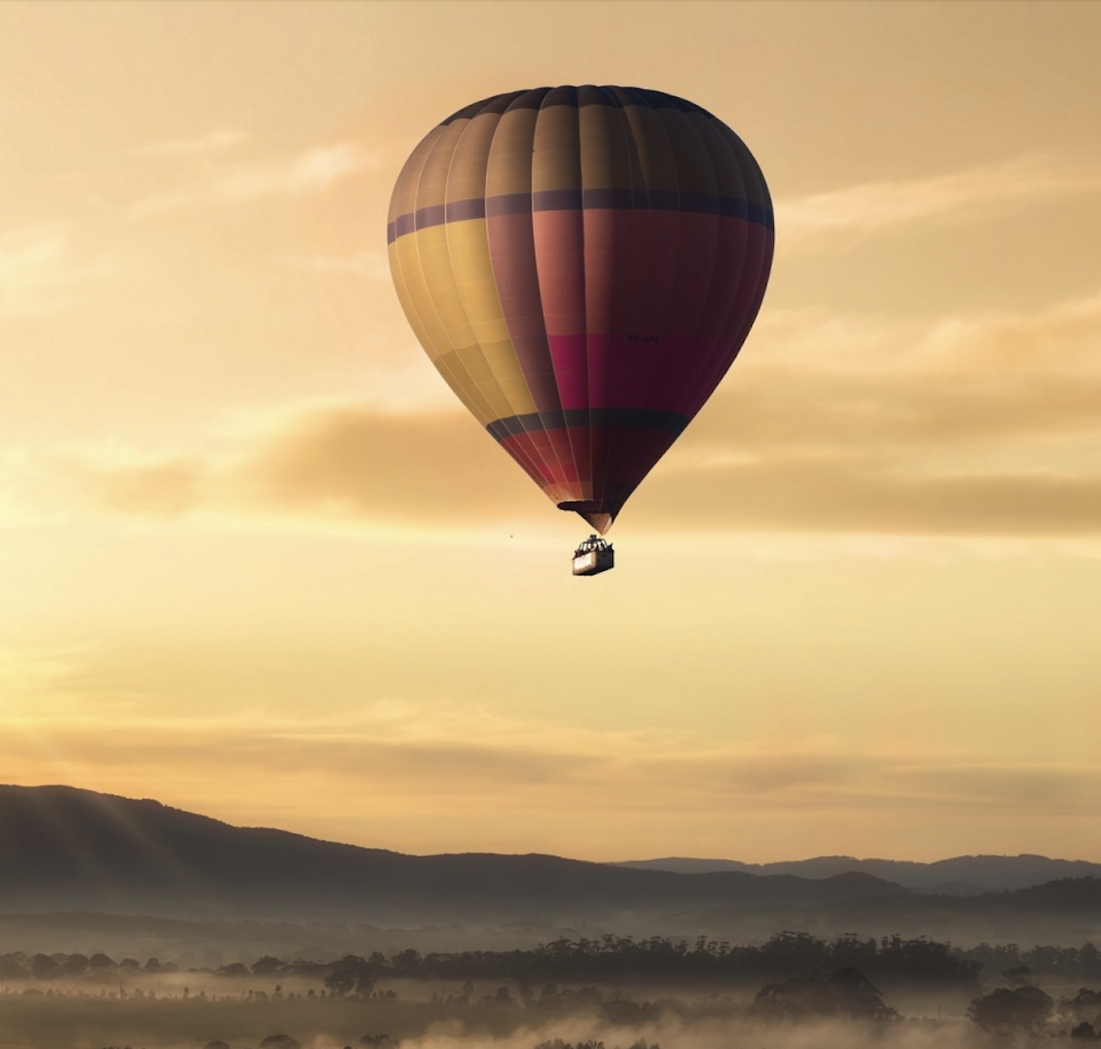 hot air balloon