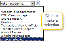 Other academic info menu