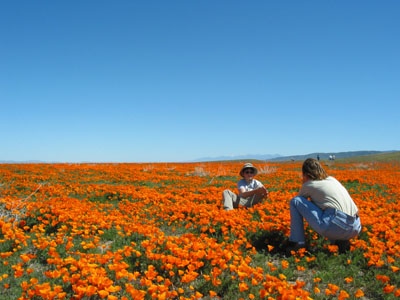 Antelope Valley