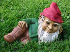 gnome