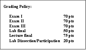 Text Box: Grading Policy:
Exam I 70 pts
Exam II 70 pts
Exam III 70 pts
Lab final 50 pts
Lecture final 75 pts
Lab Dissection/Participation 20 pts